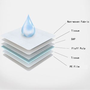 Details Of Training Pads 300X300